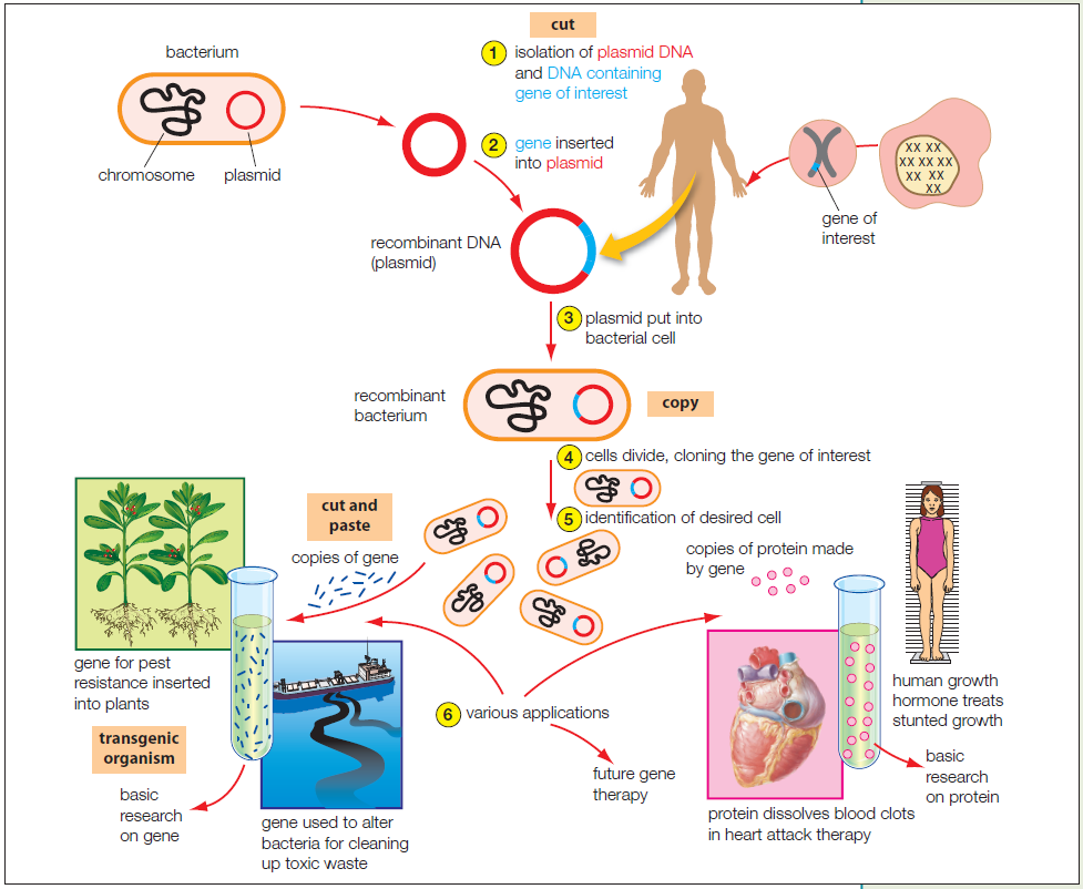 Biology 10th Class Book 5