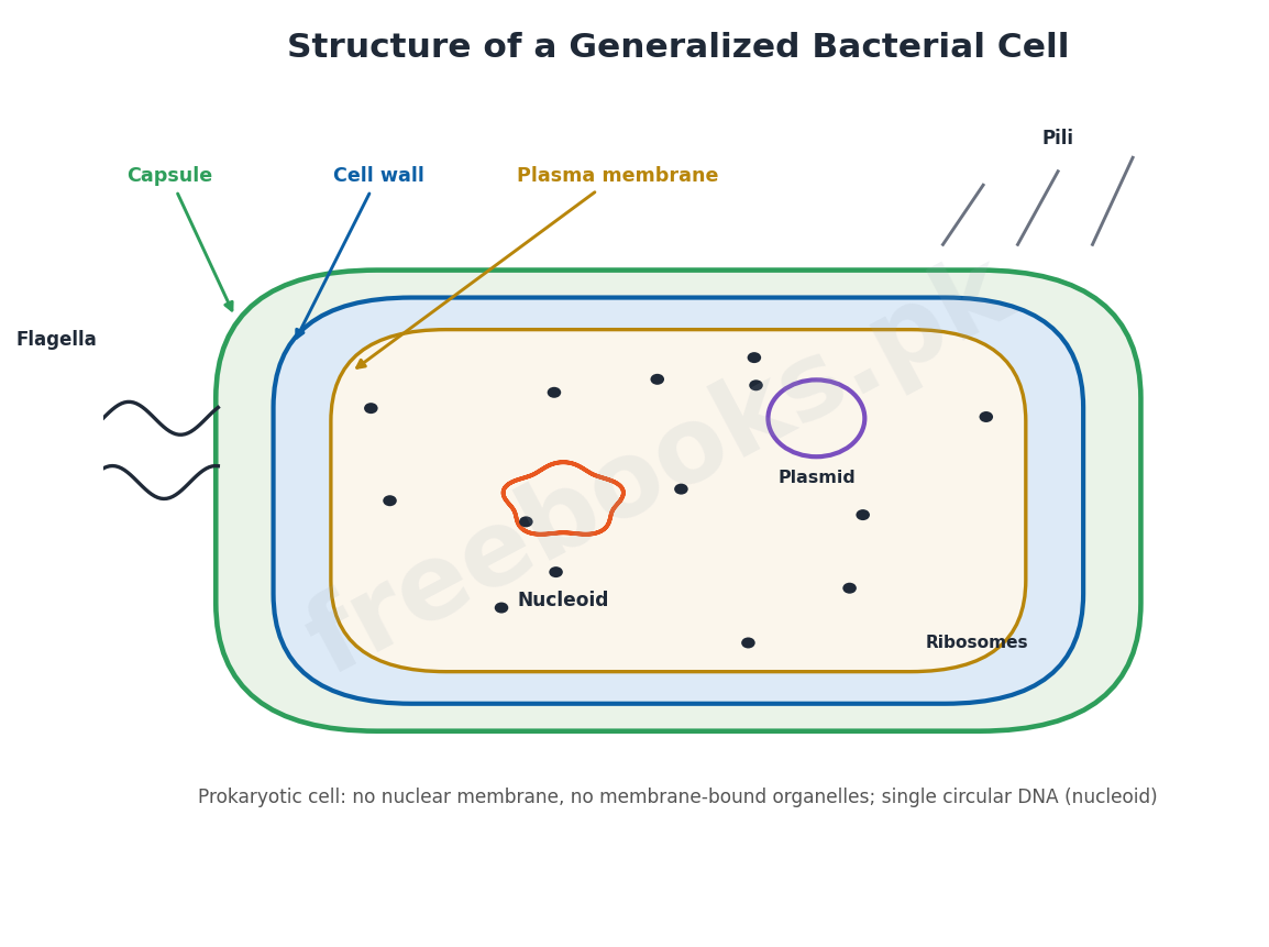 Chapter 6: Kingdom Prokaryotae (Monera) – Biology 1st Year Notes 3 Structure of a generalized bacterial cell - Biology 1st Year (Freebooks.pk)