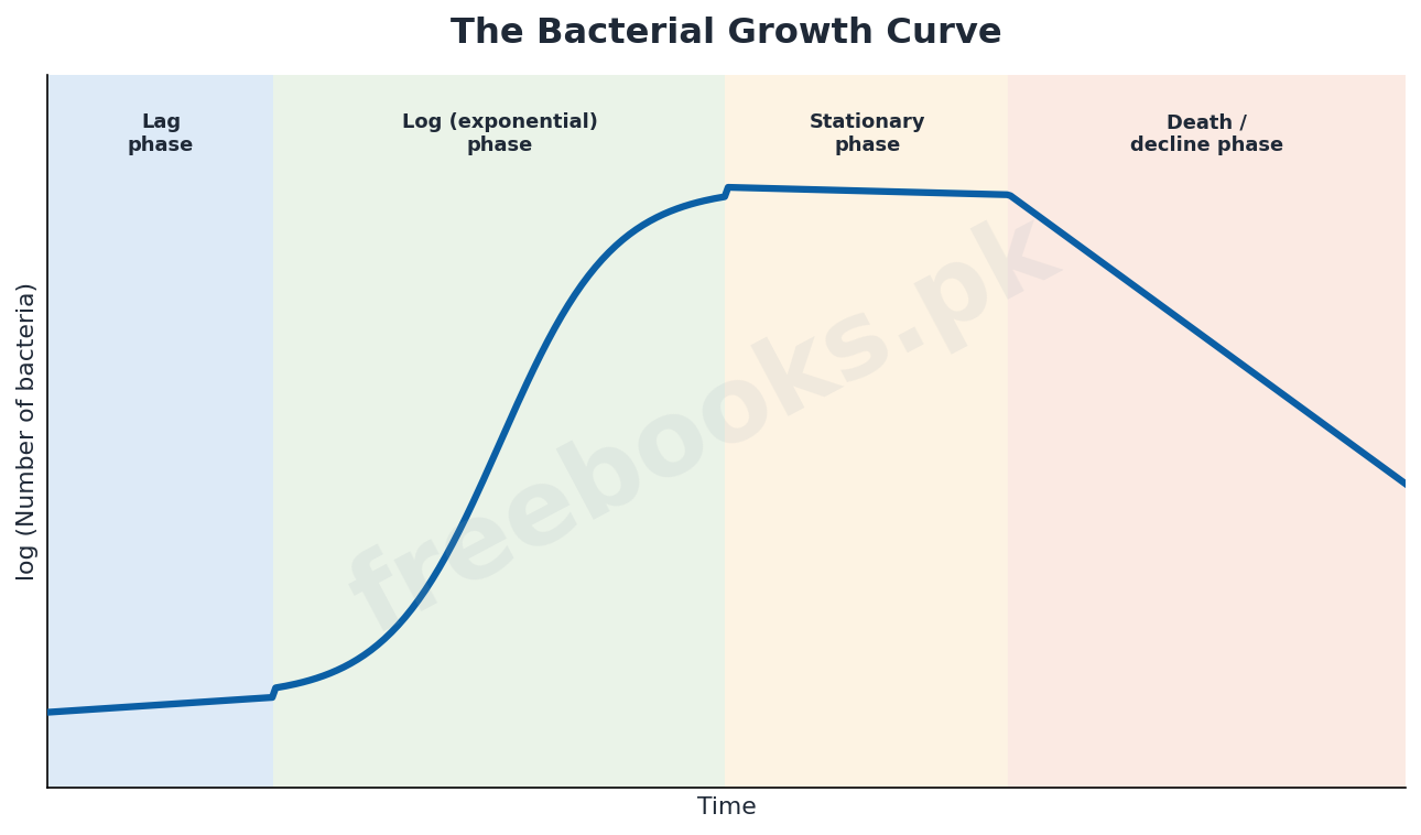 Chapter 6: Kingdom Prokaryotae (Monera) – Biology 1st Year Notes 4 The bacterial growth curve: lag, log, stationary and death phases - Biology 1st Year (Freebooks.pk)
