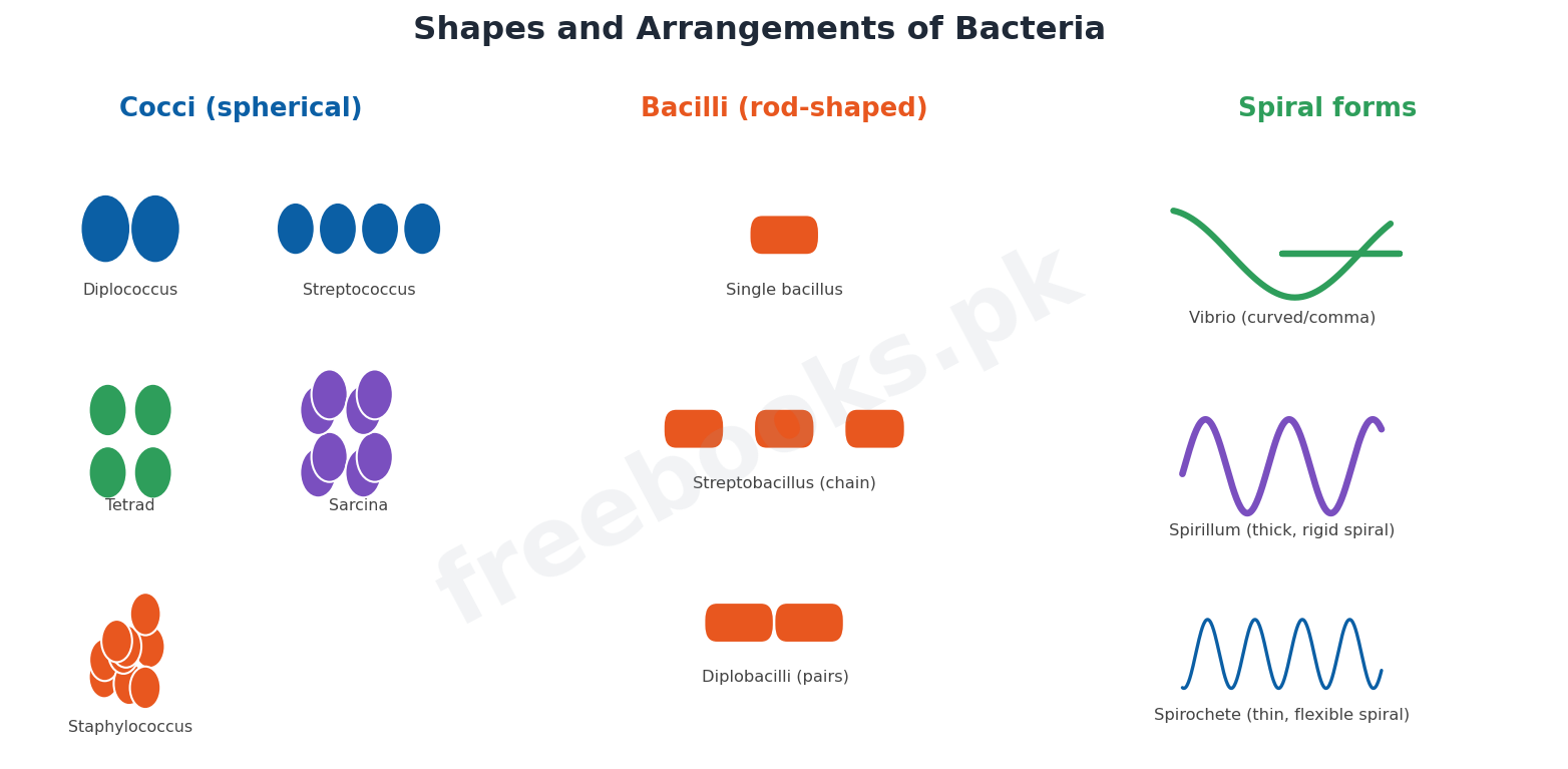 Chapter 6: Kingdom Prokaryotae (Monera) – Biology 1st Year Notes 2 Shapes and arrangements of bacteria - Biology 1st Year (Freebooks.pk)