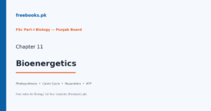 Biology 1st Year Chapter 11: Bioenergetics – free notes (Freebooks.pk)