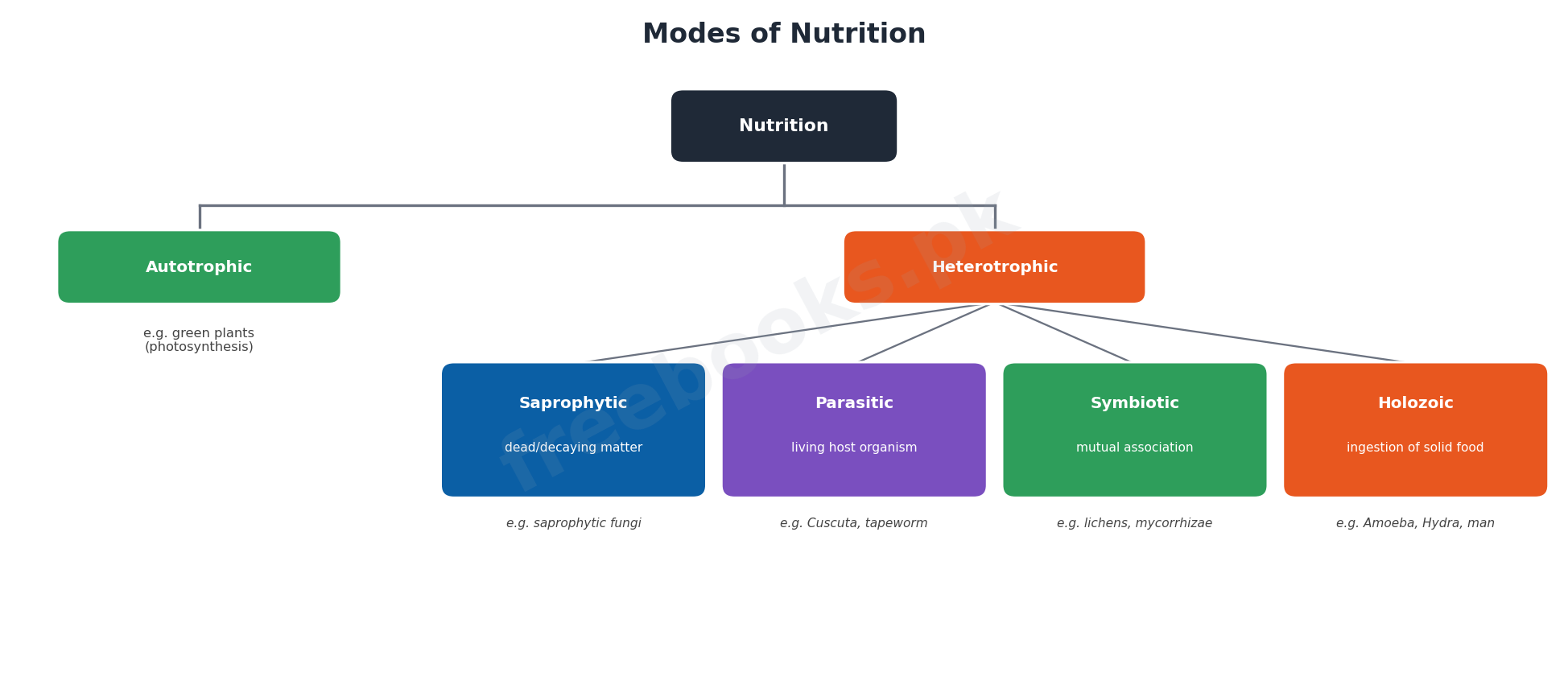 Diagram showing autotrophic and heterotrophic modes of nutrition including saprophytic, parasitic, symbiotic and holozoic nutrition