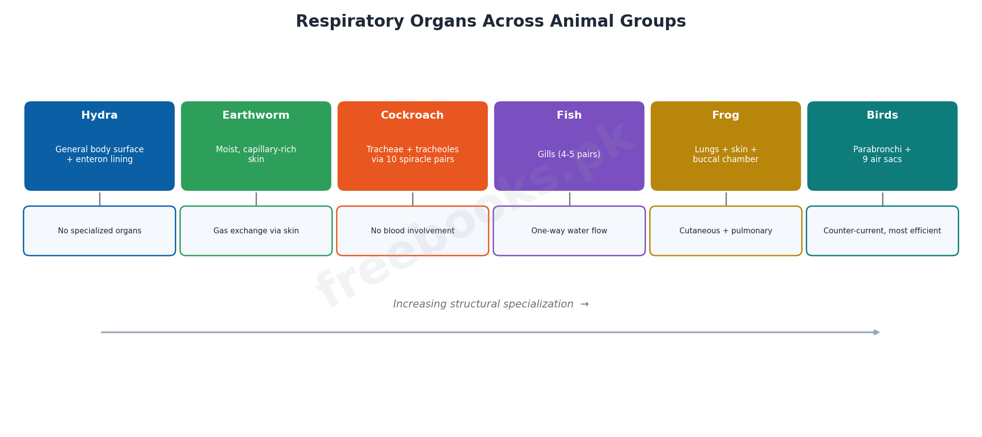 Chapter 13: Gaseous Exchange – Biology 1st Year Notes 2 Comparison of respiratory organs across animal groups: Hydra, earthworm, cockroach, fish, frog and birds