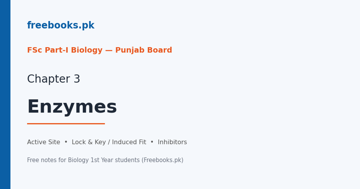 Biology 1st Year Chapter 3: Enzymes – free notes (Freebooks.pk)