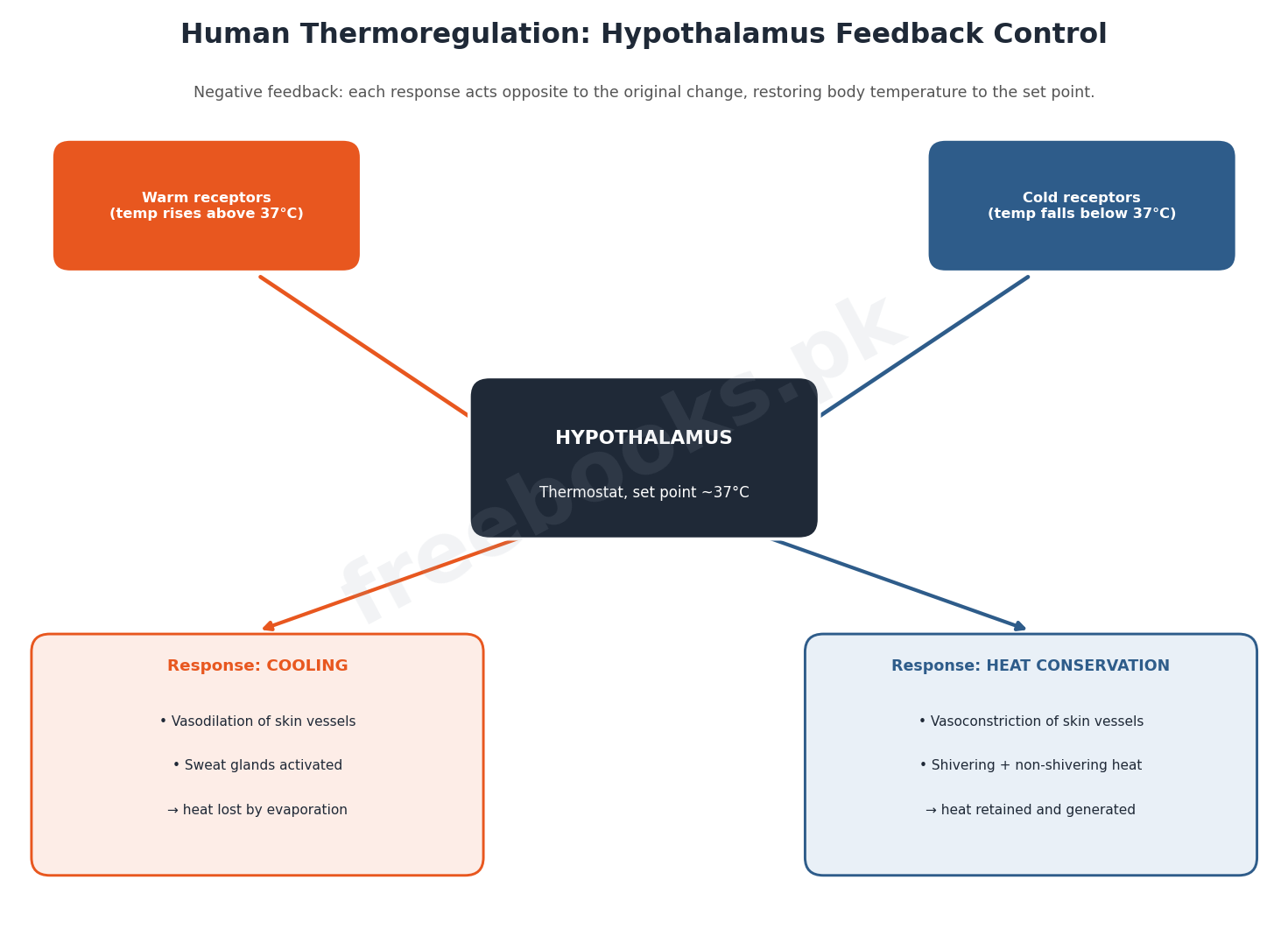 Chapter 15: Homeostasis – Biology 2nd Year Notes 4 Human thermoregulation: hypothalamus feedback control mechanism - Biology 2nd Year (Freebooks.pk)