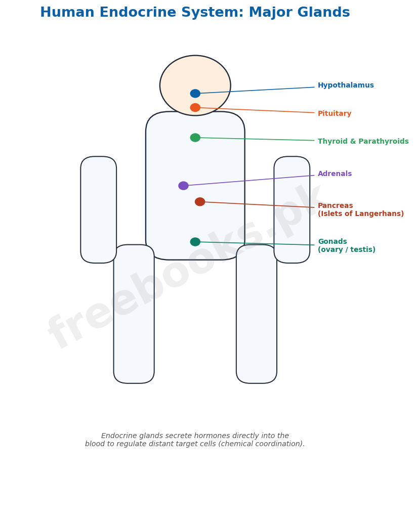 Human endocrine system: major glands - Biology 2nd Year (Freebooks.pk)