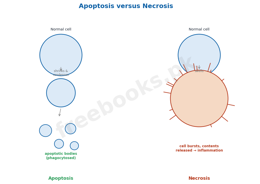 Apoptosis versus necrosis: two forms of cell death - Biology 2nd Year (Freebooks.pk)