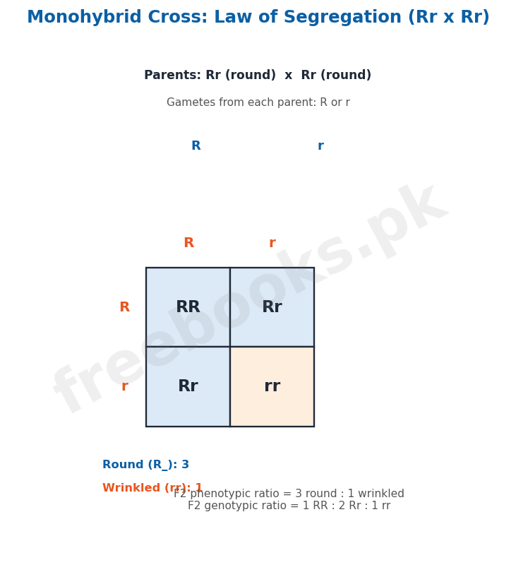 Monohybrid cross: law of segregation - Biology 2nd Year (Freebooks.pk)