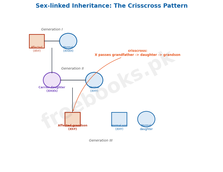 Sex-linked inheritance: the crisscross pattern - Biology 2nd Year (Freebooks.pk)