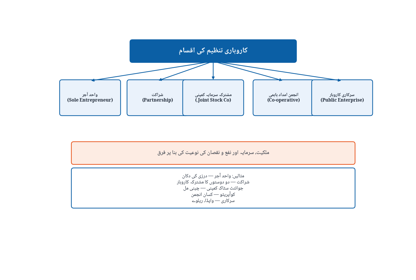 کاروباری تنظیم کی اقسام کا خاکہ