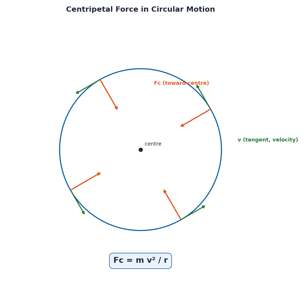 Diagram of centripetal force directed toward the centre of a circular path with velocity tangent