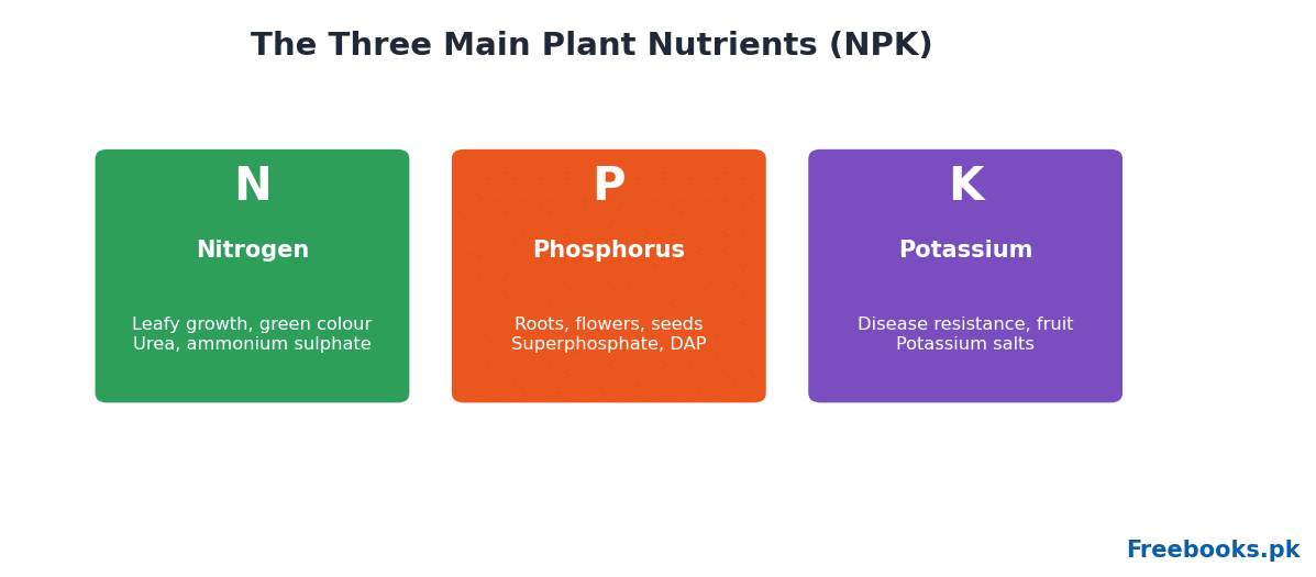 Chemistry 2nd Year Chapter 15 – The NPK nutrients (Freebooks.pk)