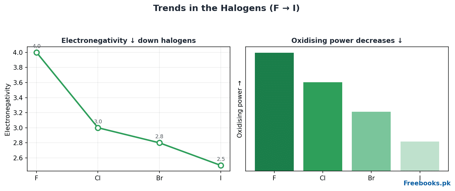 Chemistry 2nd Year Chapter 5 – Halogen trends (Freebooks.pk)