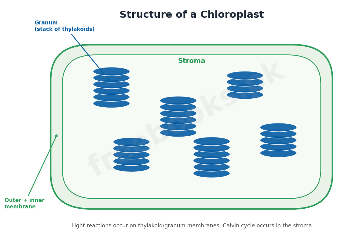 Chapter 11: Bioenergetics – Biology 1st Year Notes 3 Structure of a chloroplast - Biology 1st Year (Freebooks.pk)