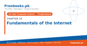 Computer Science 1st Year Chapter 10: Fundamentals of the Internet – Notes cover | Freebooks.pk