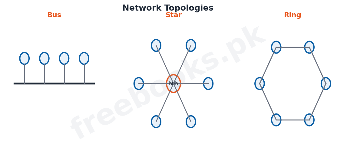 Computer Science 1st Year Chapter 2: Information Networks – Diagram 1 | Freebooks.pk