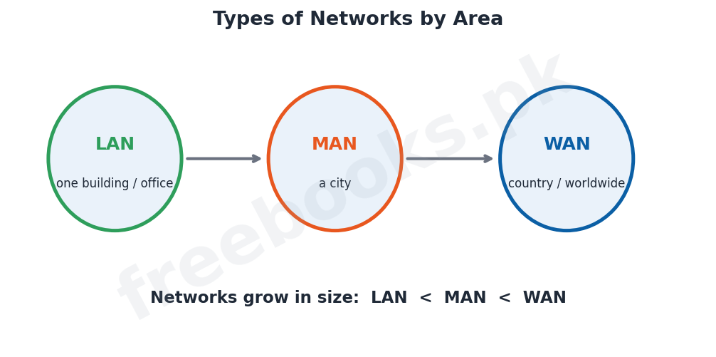 Computer Science 1st Year Chapter 2: Information Networks – Diagram 2 | Freebooks.pk