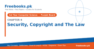 Computer Science 1st Year Chapter 6: Security Copyright and the Law – Notes cover | Freebooks.pk