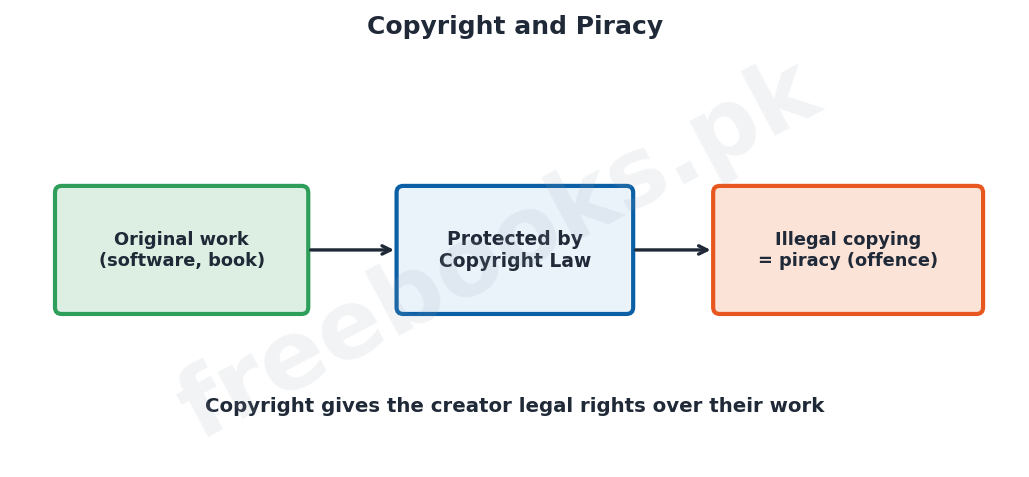 Computer Science 1st Year Chapter 6: Security Copyright and the Law – Diagram 3 | Freebooks.pk
