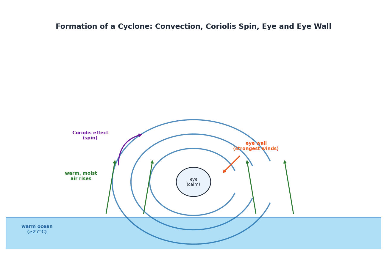 Cyclone formation showing warm moist air rising from ocean, Coriolis effect spin, eye and eye wall