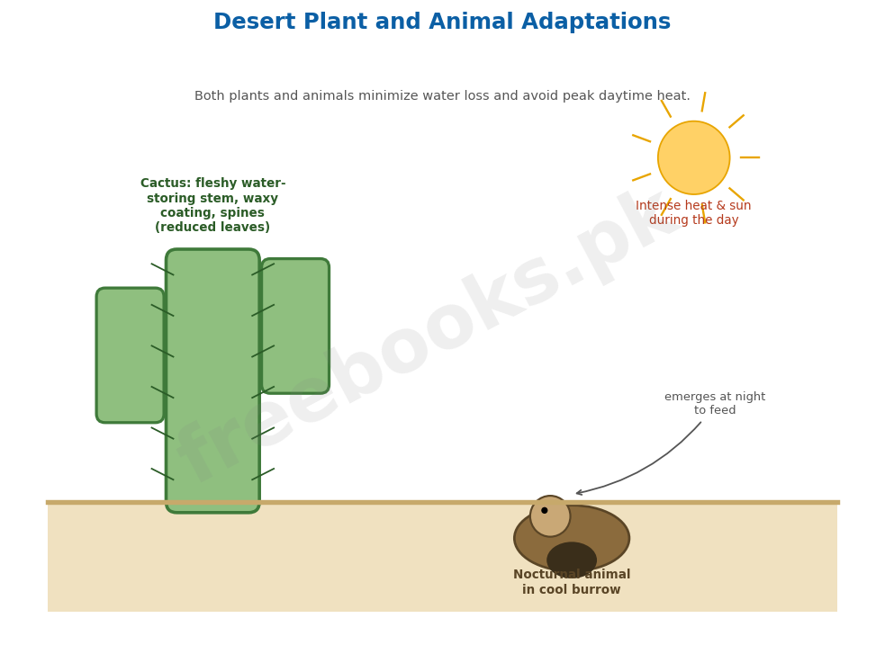 Chapter 26: Some Major Ecosystems 4 Desert plant and animal adaptations - Biology 2nd Year (Freebooks.pk)