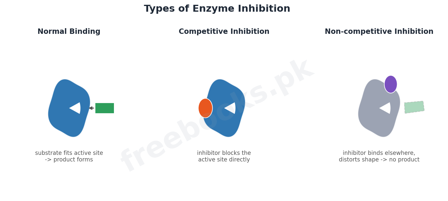 Chapter 3: Enzymes – Biology 1st Year Notes 4 Competitive and non-competitive enzyme inhibition - Biology 1st Year (Freebooks.pk)