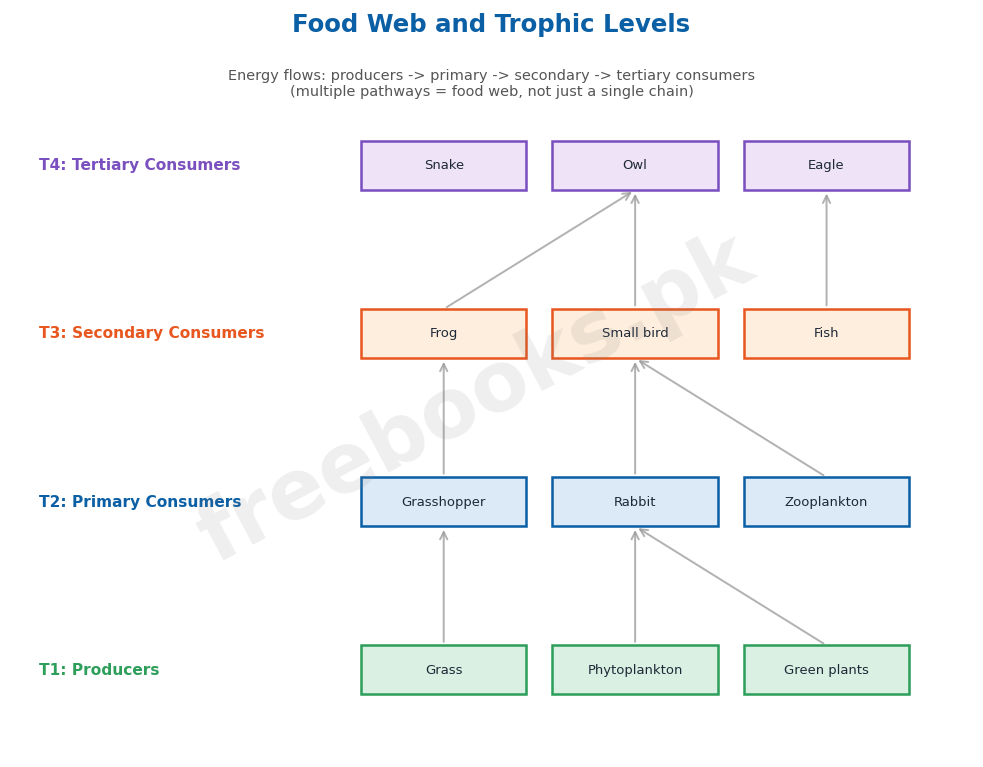 Food web and trophic levels - Biology 2nd Year (Freebooks.pk)