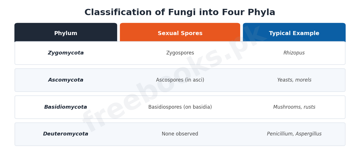 Chapter 8: Fungi – Biology 1st Year Notes 4 Classification of fungi into four phyla - Biology 1st Year (Freebooks.pk)