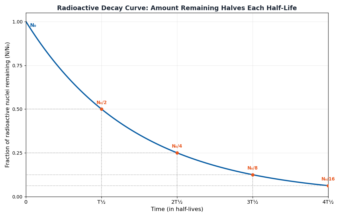 Physics Class 10 Chapter 20: Atomic and Nuclear Physics - Notes (PECTAA 2026) 4 Exponential radioactive decay curve showing remaining fraction of nuclei halving after each half-life