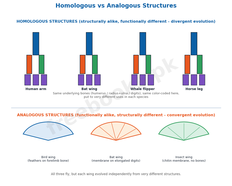 Chapter 24: Evolution 3 Homologous vs analogous structures - Biology 2nd Year (Freebooks.pk)