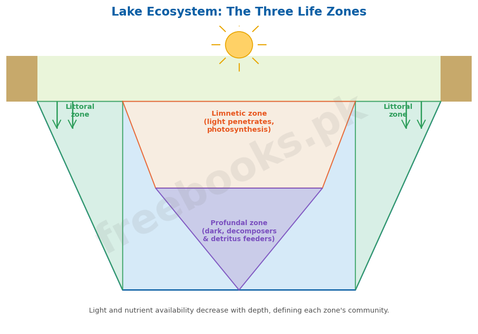 Chapter 26: Some Major Ecosystems 2 Lake ecosystem: the three life zones - Biology 2nd Year (Freebooks.pk)