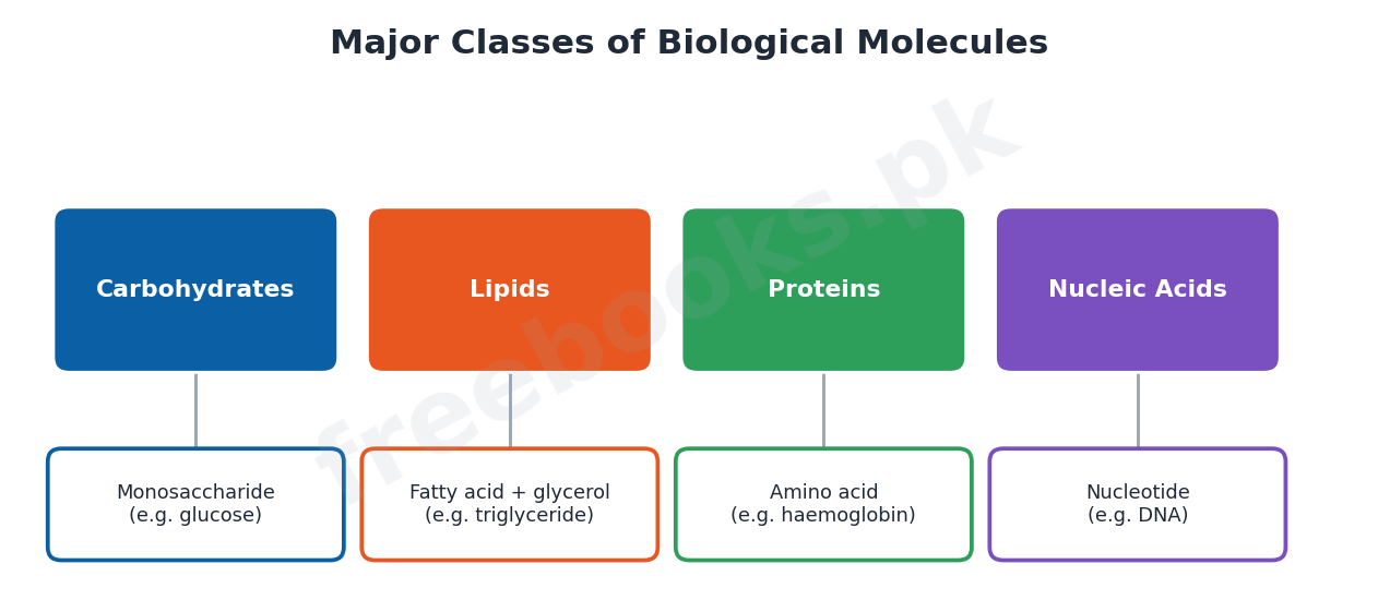 Chapter 2: Biological Molecules – Biology 1st Year Notes 4 Major classes of biological molecules and their building blocks - Biology 1st Year (Freebooks.pk)