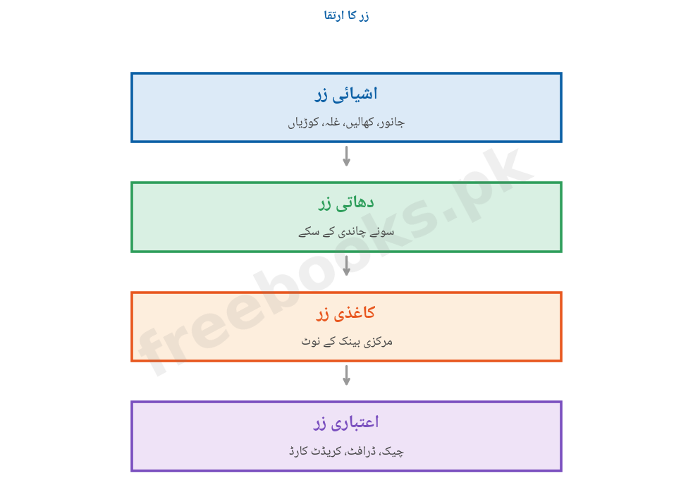 زر کا ارتقا - خاکہ