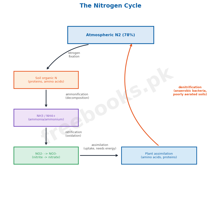 The nitrogen cycle - Biology 2nd Year (Freebooks.pk)