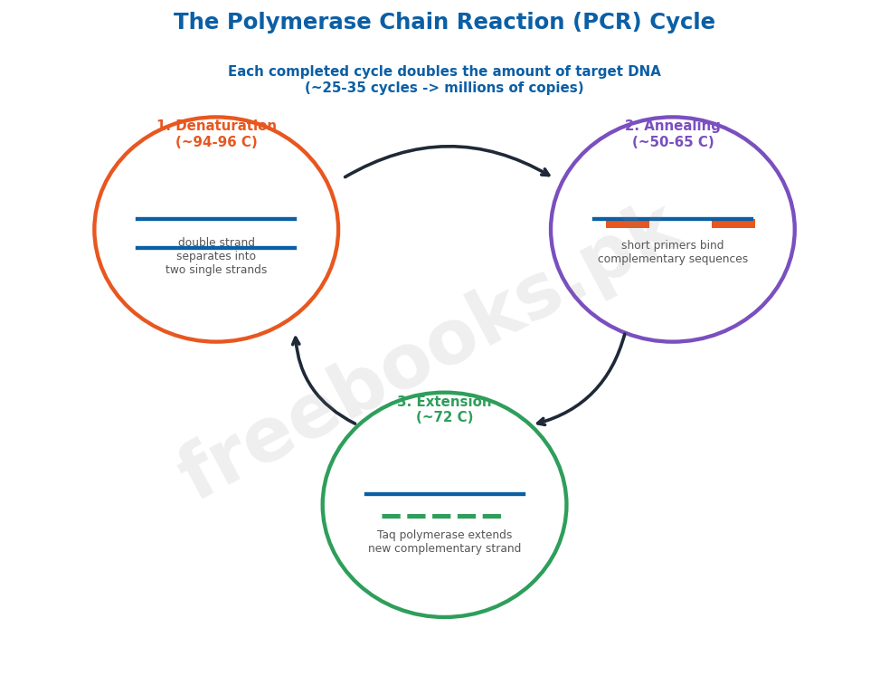 The polymerase chain reaction (PCR) cycle - Biology 2nd Year (Freebooks.pk)