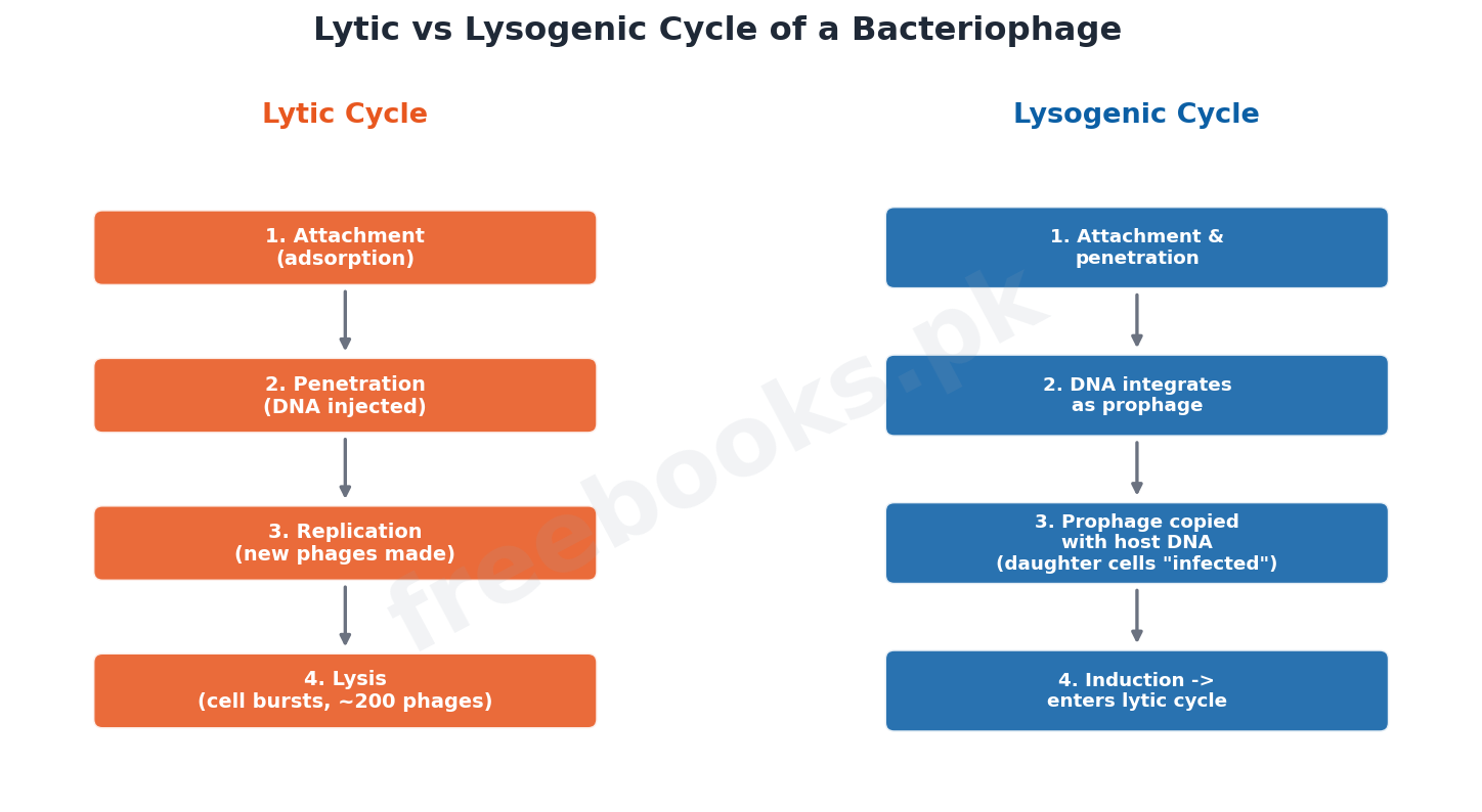 Chapter 5: Variety of Life – Biology 1st Year Notes 4 Lytic and lysogenic cycle of a bacteriophage - Biology 1st Year (Freebooks.pk)