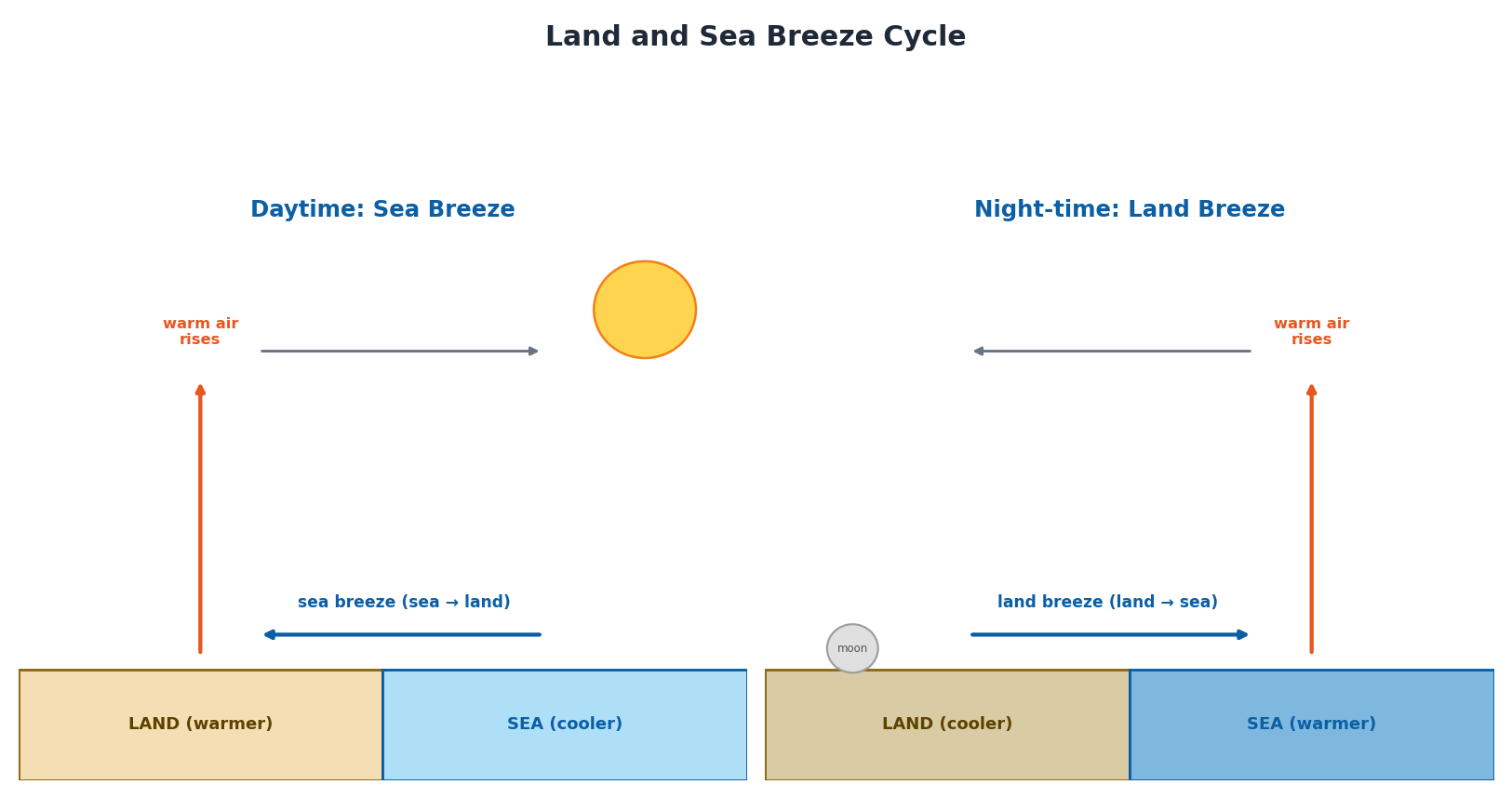 Diagram showing daytime sea breeze and night-time land breeze convection cycle