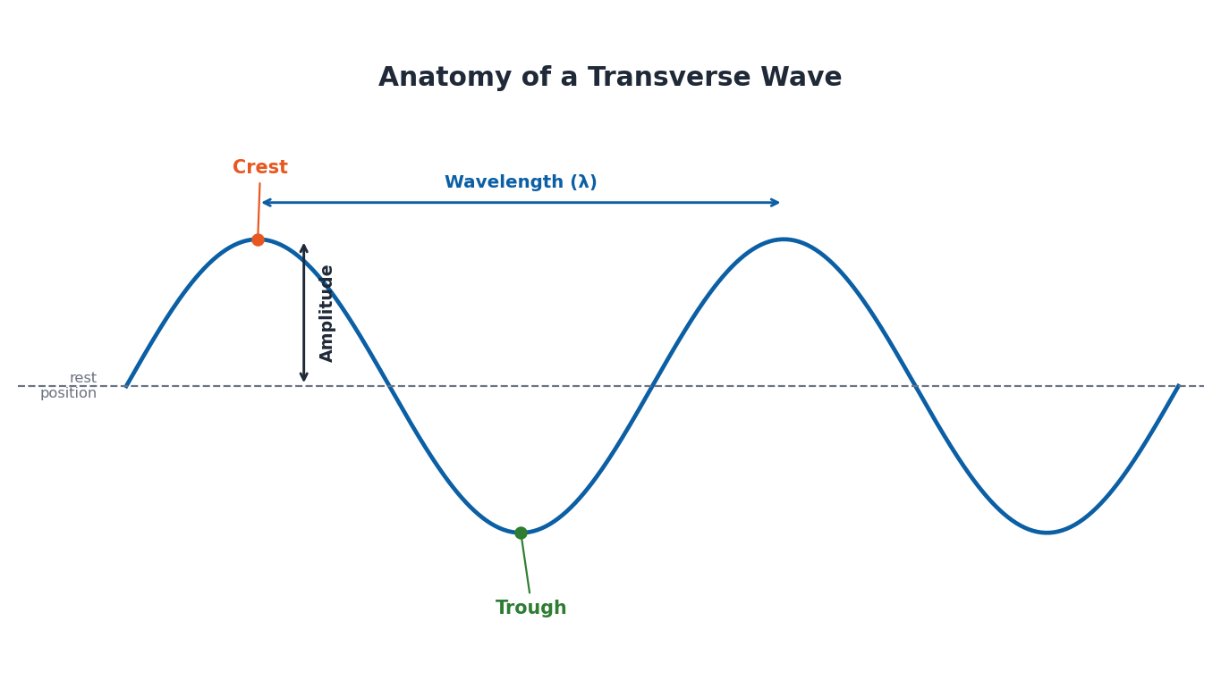 Diagram labelling crest, trough, wavelength, and amplitude of a transverse wave