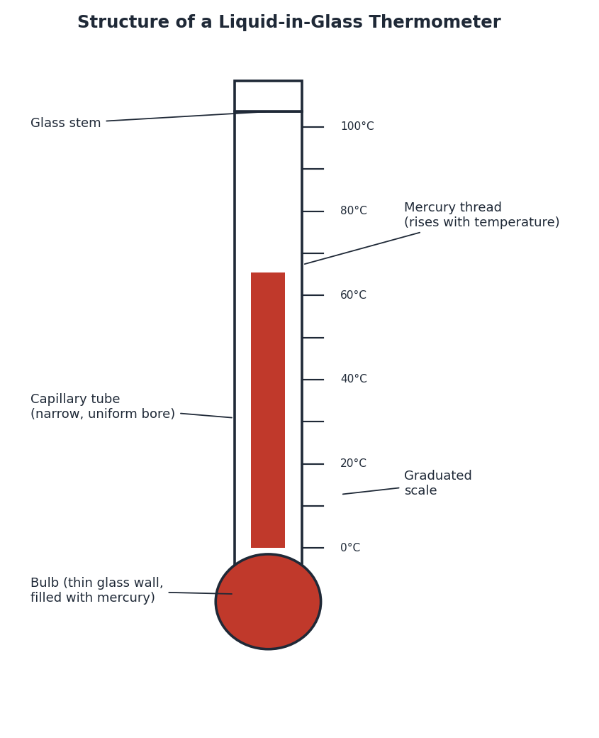 Labelled diagram of a liquid-in-glass thermometer showing bulb, capillary tube, mercury thread, and scale