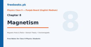 Physics Class 9 Chapter 8 Magnetism - notes cover image
