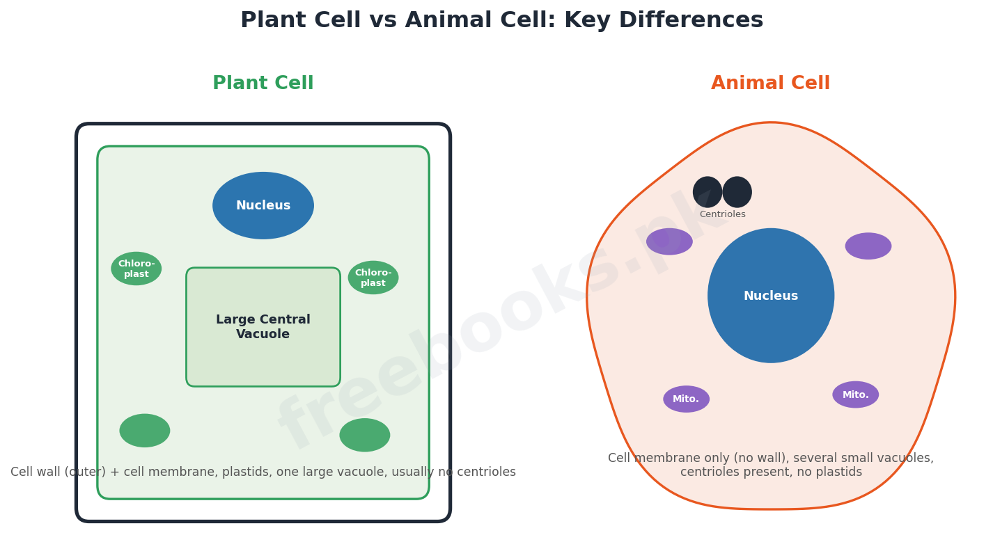 Chapter 4: The Cell – Biology 1st Year Notes 2 Plant cell versus animal cell key differences - Biology 1st Year (Freebooks.pk)