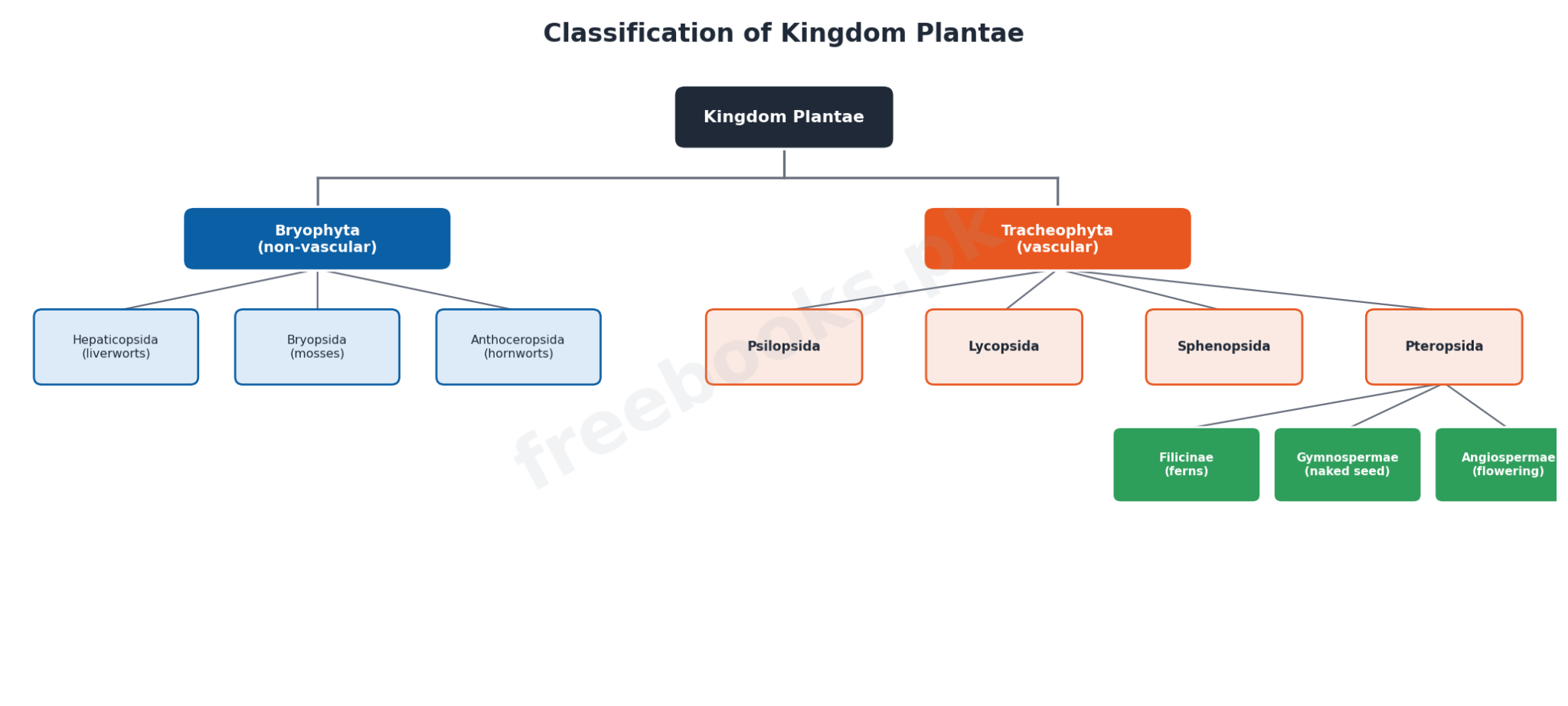 Chapter 9: Kingdom Plantae – Biology 1st Year Notes 2 Classification of Kingdom Plantae - Biology 1st Year (Freebooks.pk)