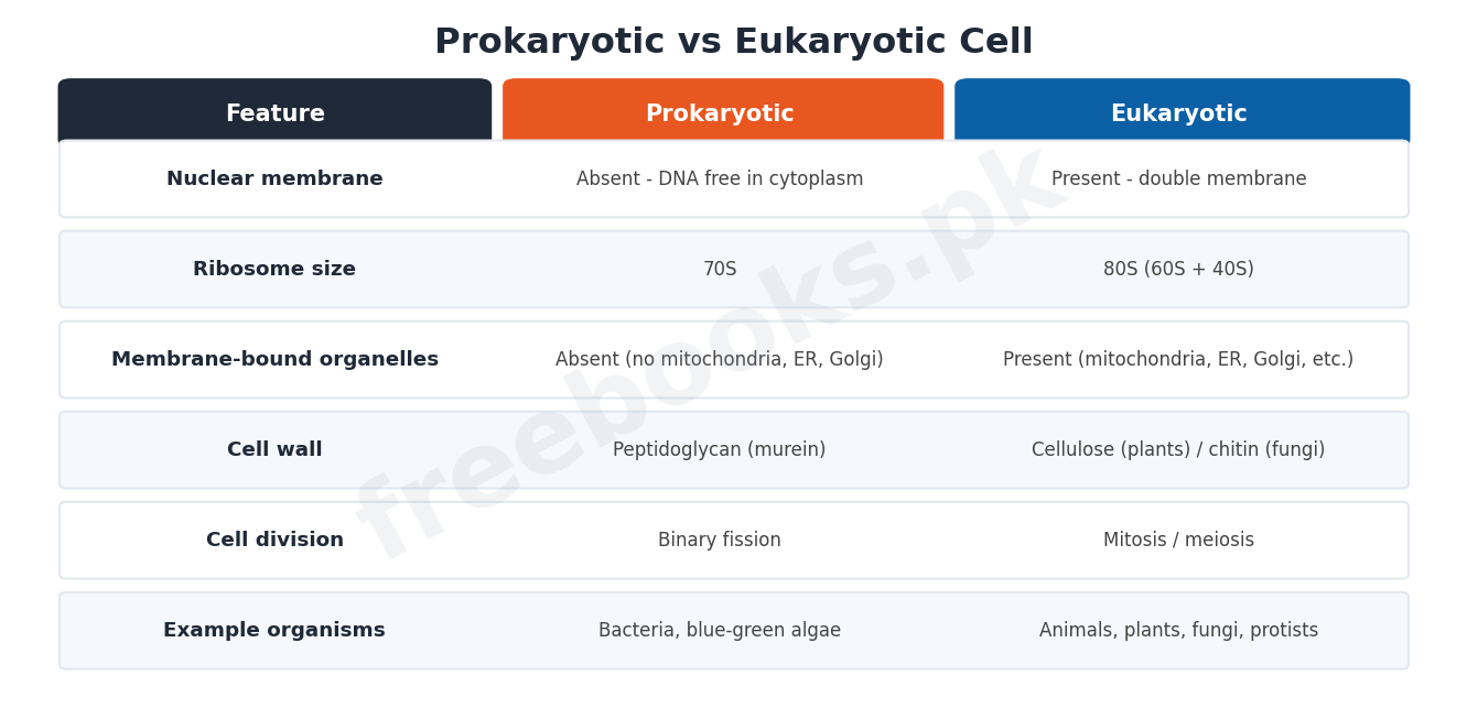 Chapter 4: The Cell – Biology 1st Year Notes 4 Prokaryotic versus eukaryotic cell comparison - Biology 1st Year (Freebooks.pk)