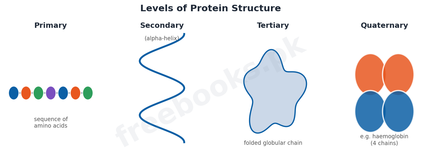 Chapter 2: Biological Molecules – Biology 1st Year Notes 2 Primary, secondary, tertiary and quaternary levels of protein structure - Biology 1st Year (Freebooks.pk)