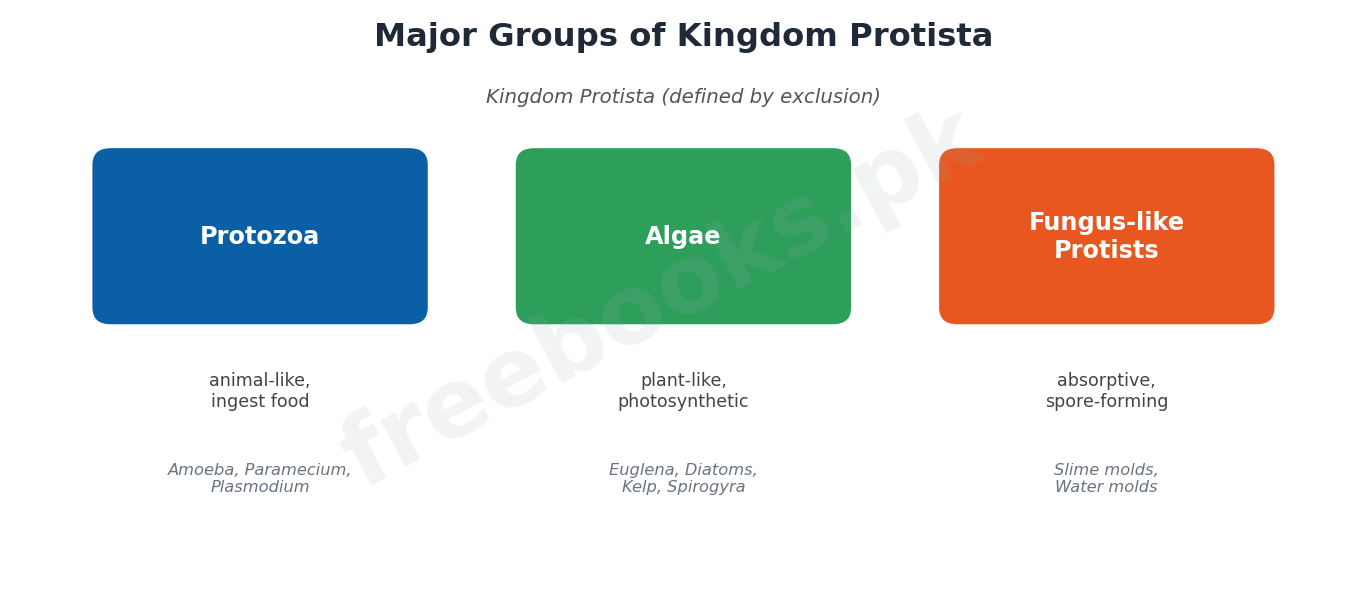 Chapter 7: Kingdom Protista – Biology 1st Year Notes 2 Major groups of Kingdom Protista - Biology 1st Year (Freebooks.pk)