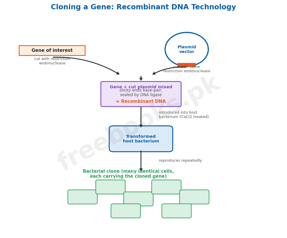 Cloning a gene: recombinant DNA technology - Biology 2nd Year (Freebooks.pk)