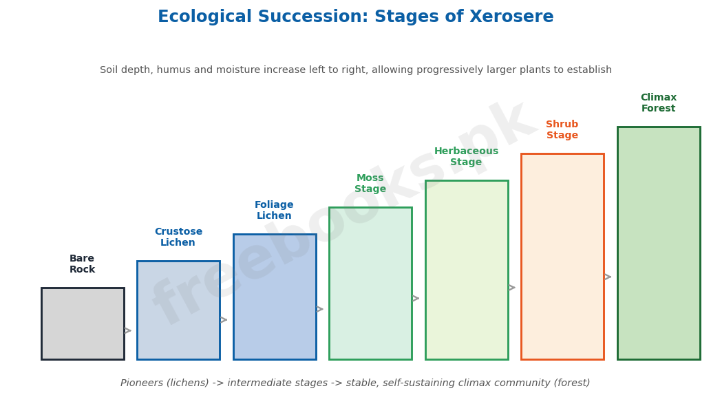 Ecological succession: stages of xerosere - Biology 2nd Year (Freebooks.pk)