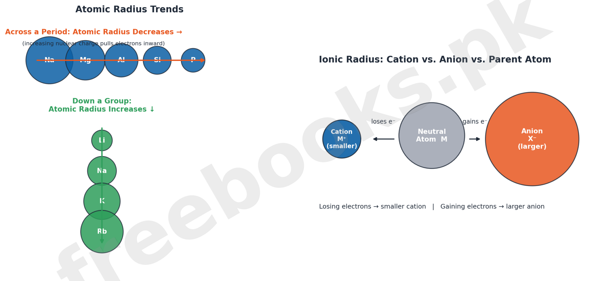 Atomic radius trends across periods and down groups, and comparison of cation, anion, and parent atom sizes