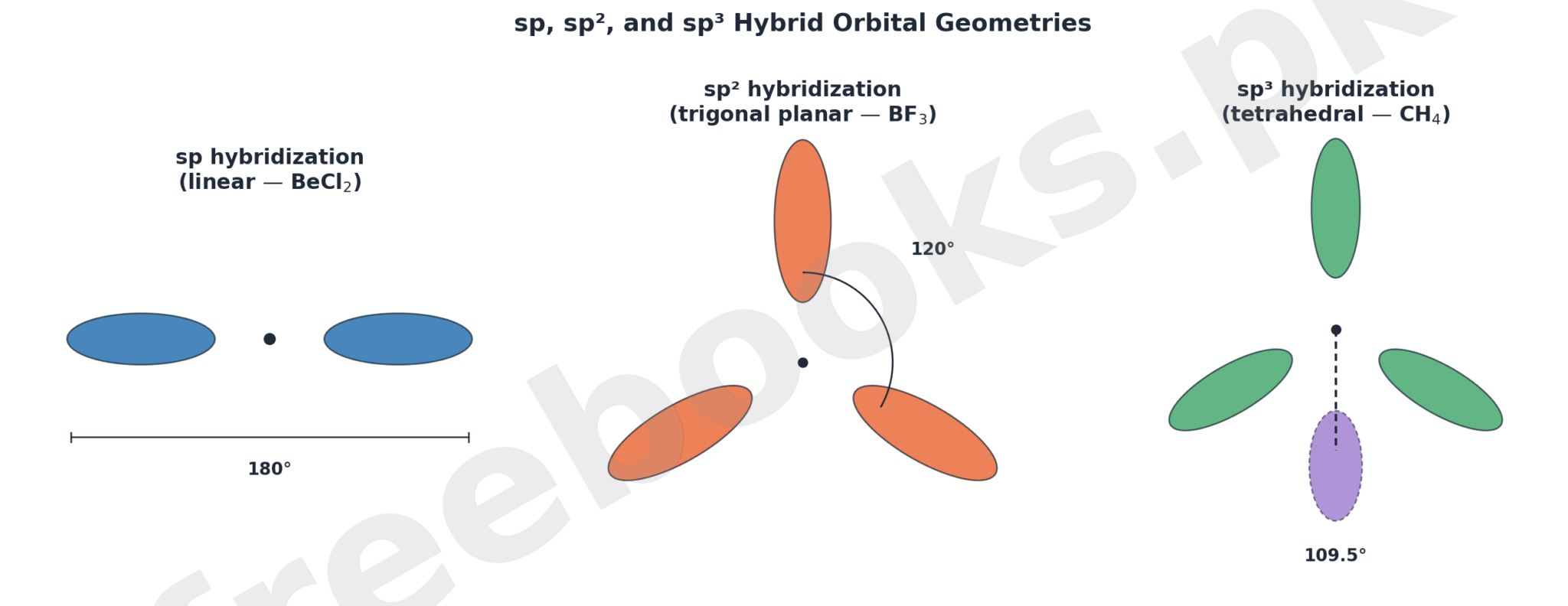 Linear sp, trigonal planar sp2, and tetrahedral sp3 hybrid orbital geometries with bond angles