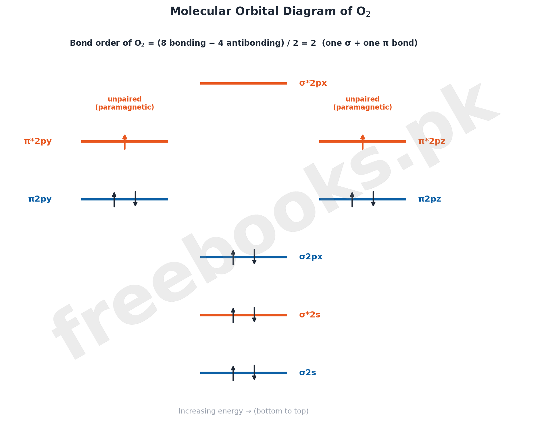 Molecular orbital energy level diagram of O2 showing two unpaired electrons in antibonding pi-star orbitals responsible for paramagnetism